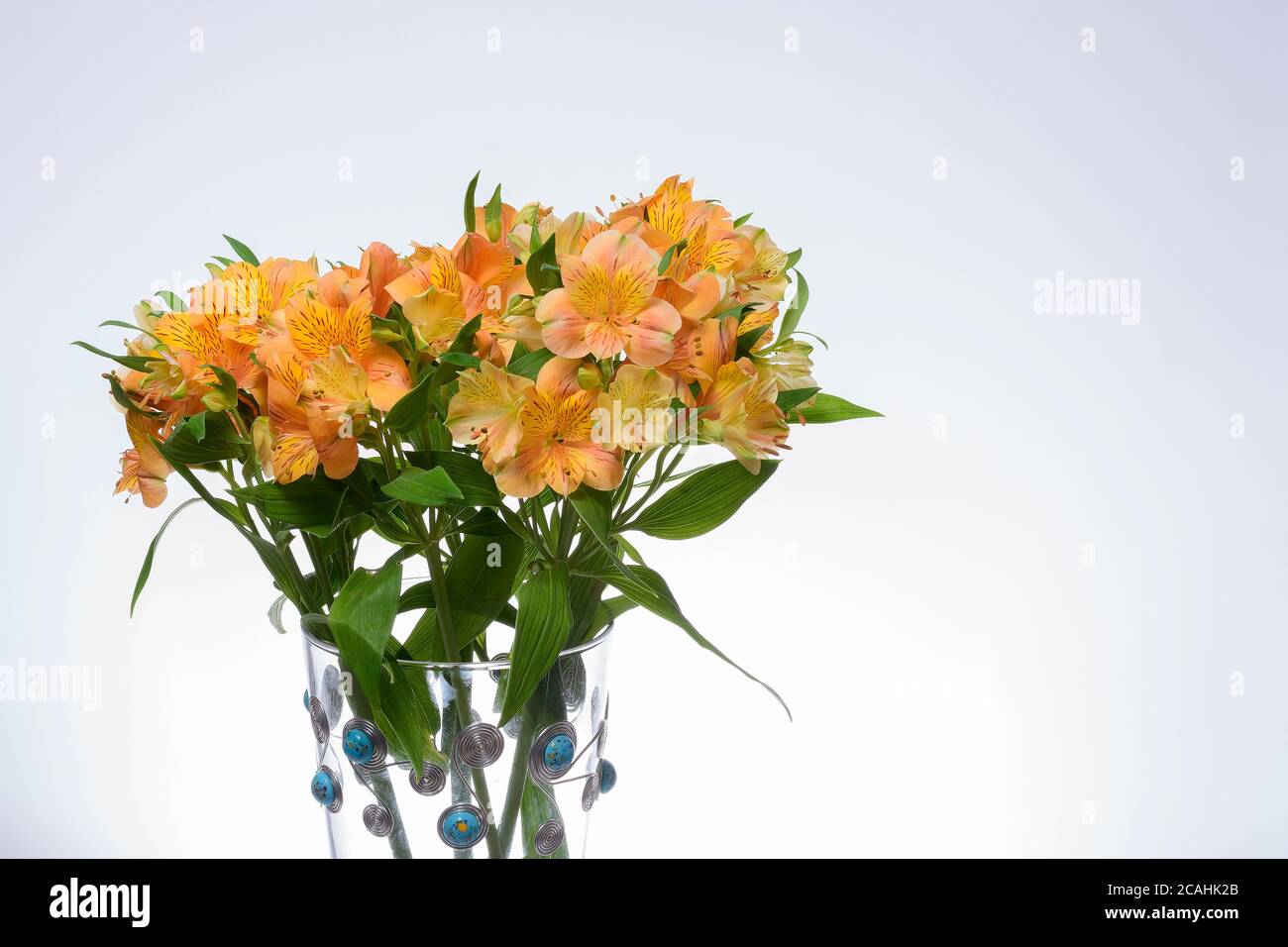 YELLOW ASTROMELIA FLOWER ON WHITE BACKGROUND Stock Photo