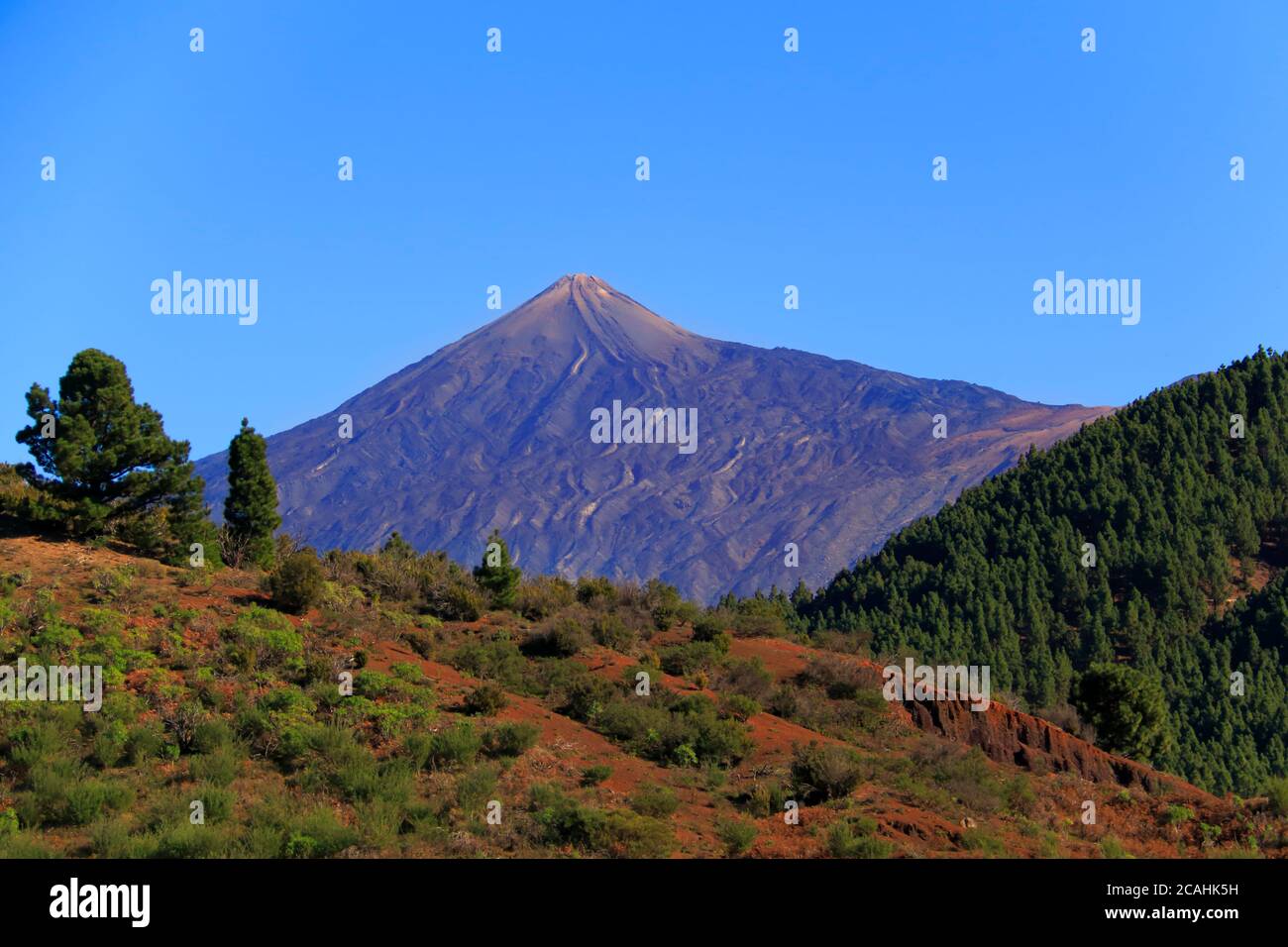 Tenerife, Canary island, Spain. Stock Photo