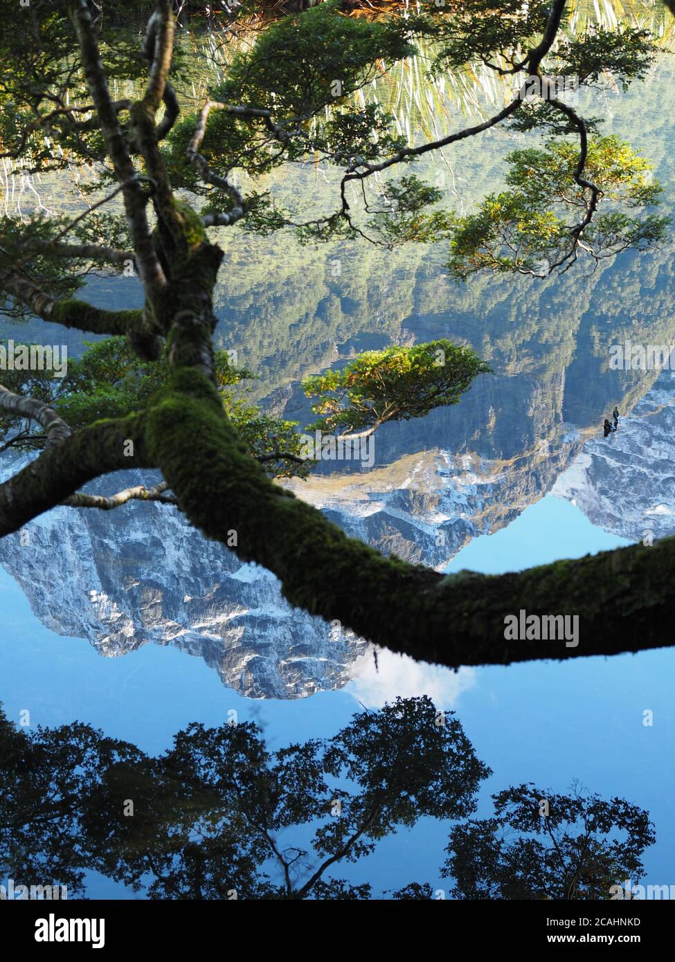 Vertical shot of a lake with the reflection of high rocky mountains and ...