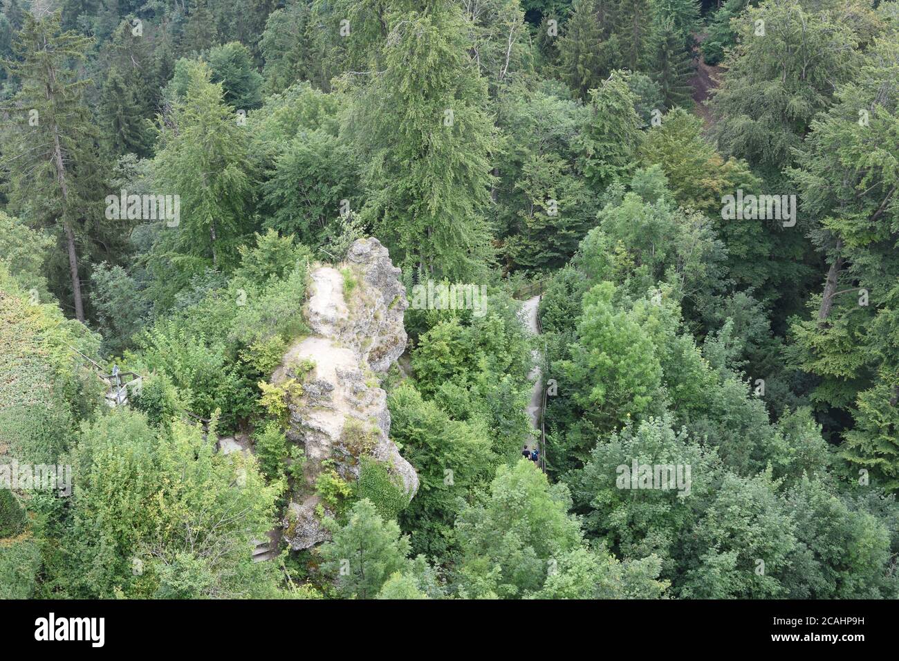 Bird's eye view on mixed green forest and rocks from Uto Kulm or Uetliberg mountain in Switzerland during sunny summer day. Stock Photo