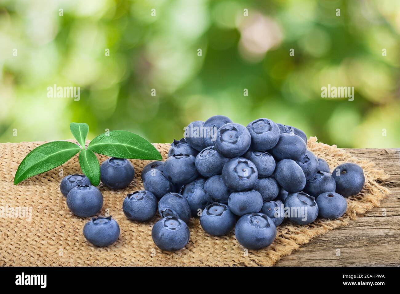 fresh blueberry on wooden table with blurred garden background. Clipping path and full depth of field Stock Photo