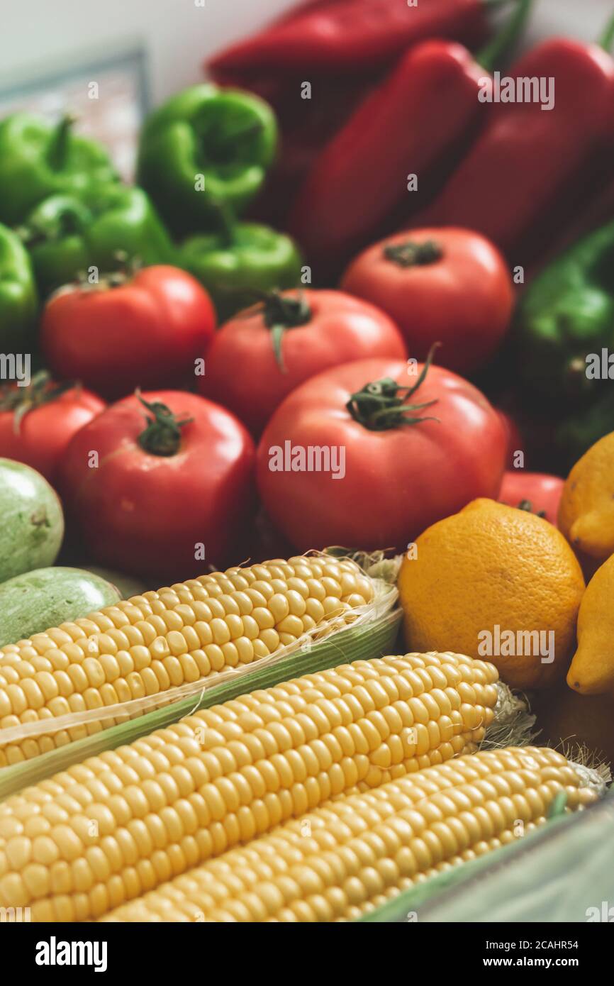 vegetables on the refrigerator shelf, autumn vegetables. full of corn, tomatoes, peppers, zucchini, cabbage, lemon, vegetables. Stock Photo