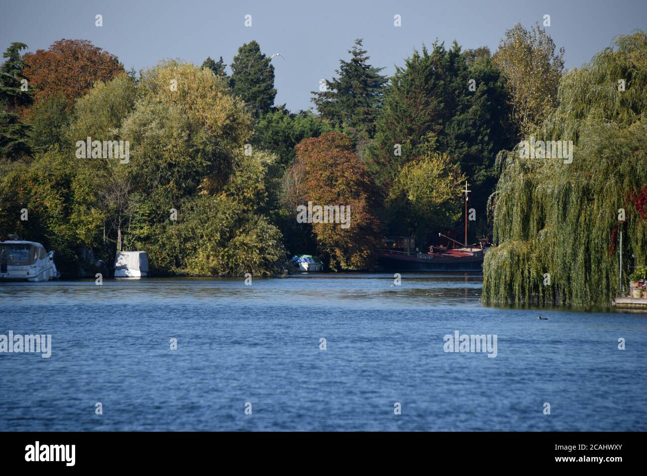 The River Thames is a perfect shade of blue in this photo taken on a glorious autumn day Stock Photo