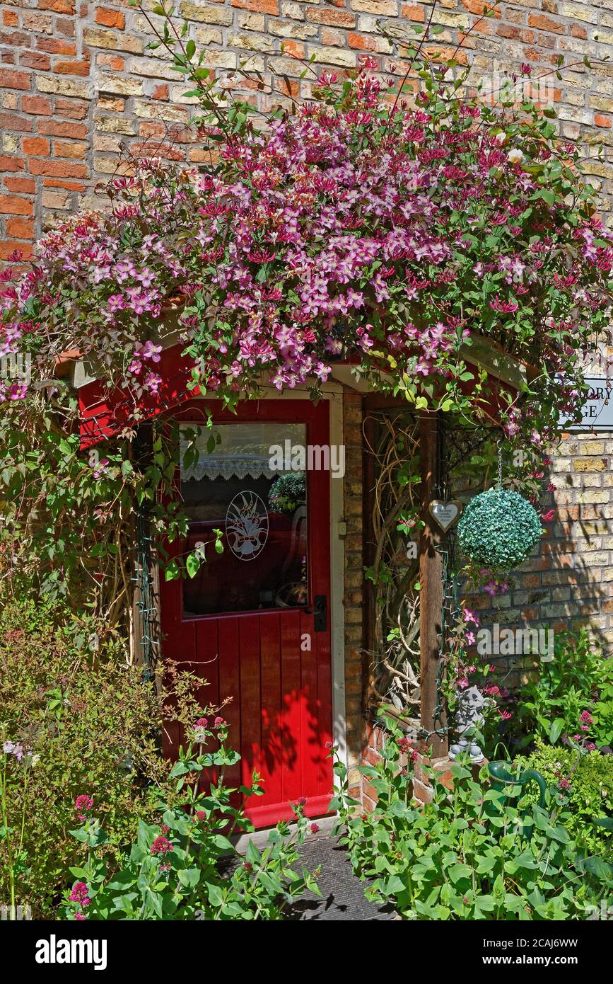 Vine covered porch hi-res stock photography and images - Alamy