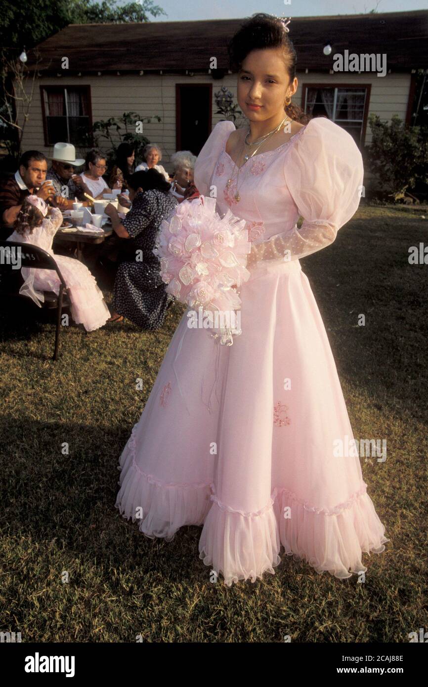 Princess diaries 2 pink cheap dress