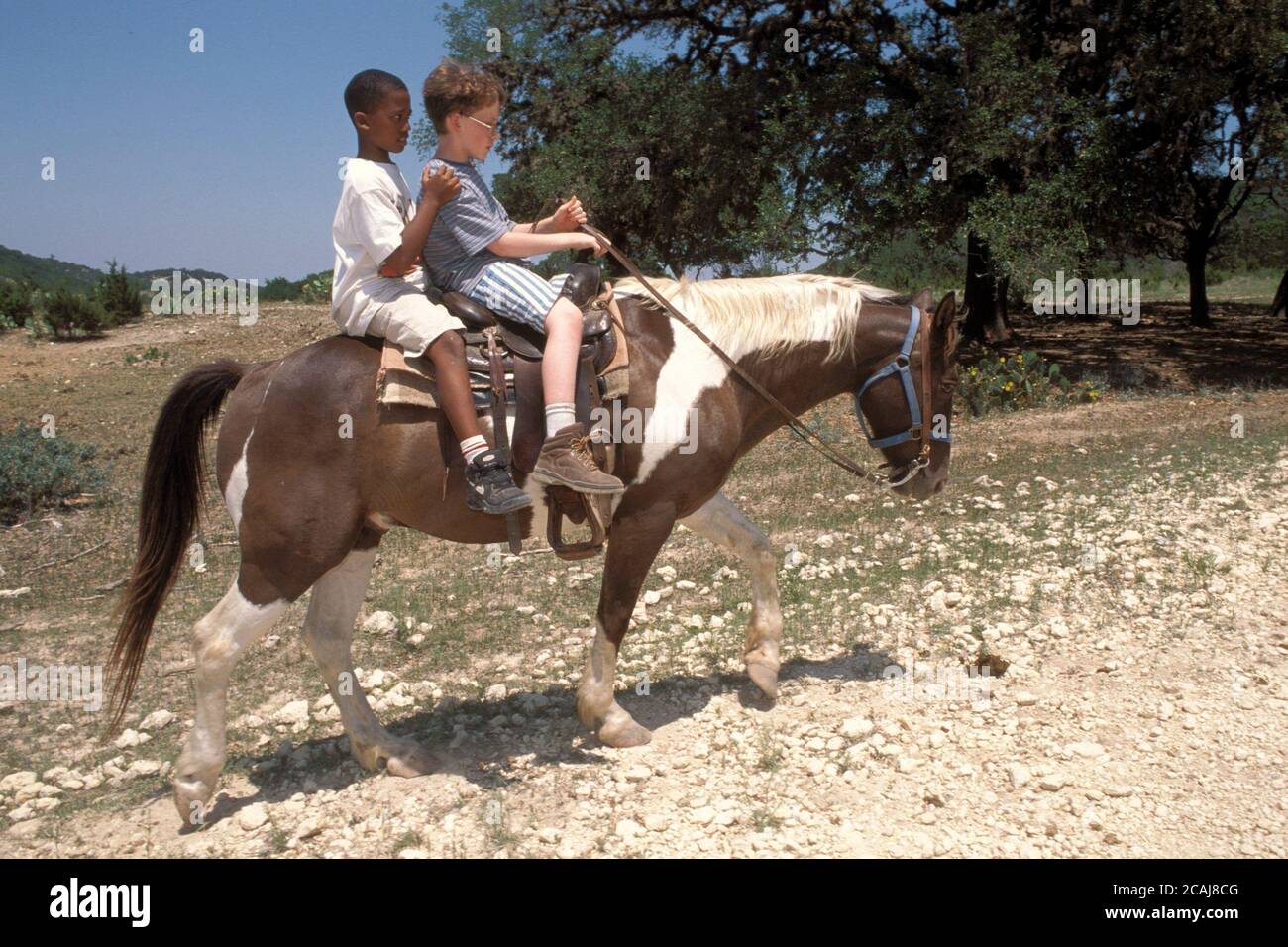 Bandera, Texas USA: African-American and Anglo 5th grade boys horseback riding on same horse at outdoor education camp. Model Release. ©Bob Daemmrich Stock Photo