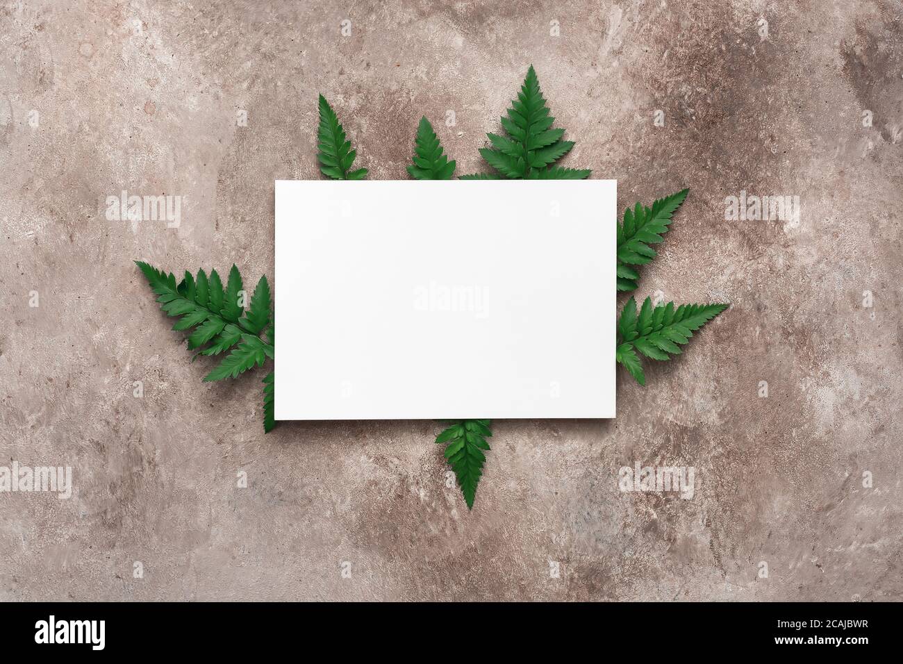 Download Blank Greeting Card Mockup And Fern Leaves On A Beige Rustic Background Modern Stationery Still Life Top View Flat Lay Place For Text Stock Photo Alamy PSD Mockup Templates