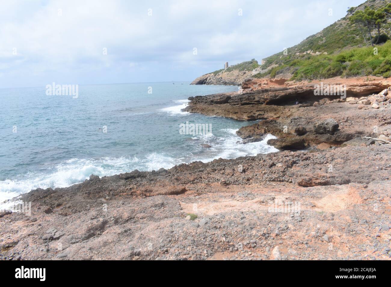Vertical shot grass beach hi-res stock photography and images - Alamy