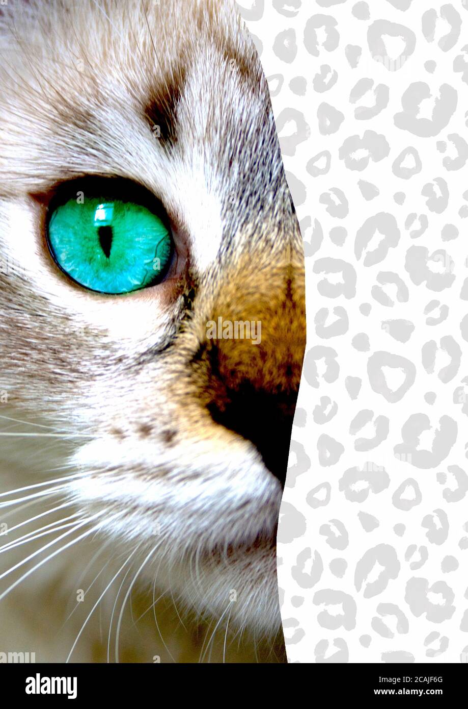 Mixed cropping hi res stock photography and images Alamy
