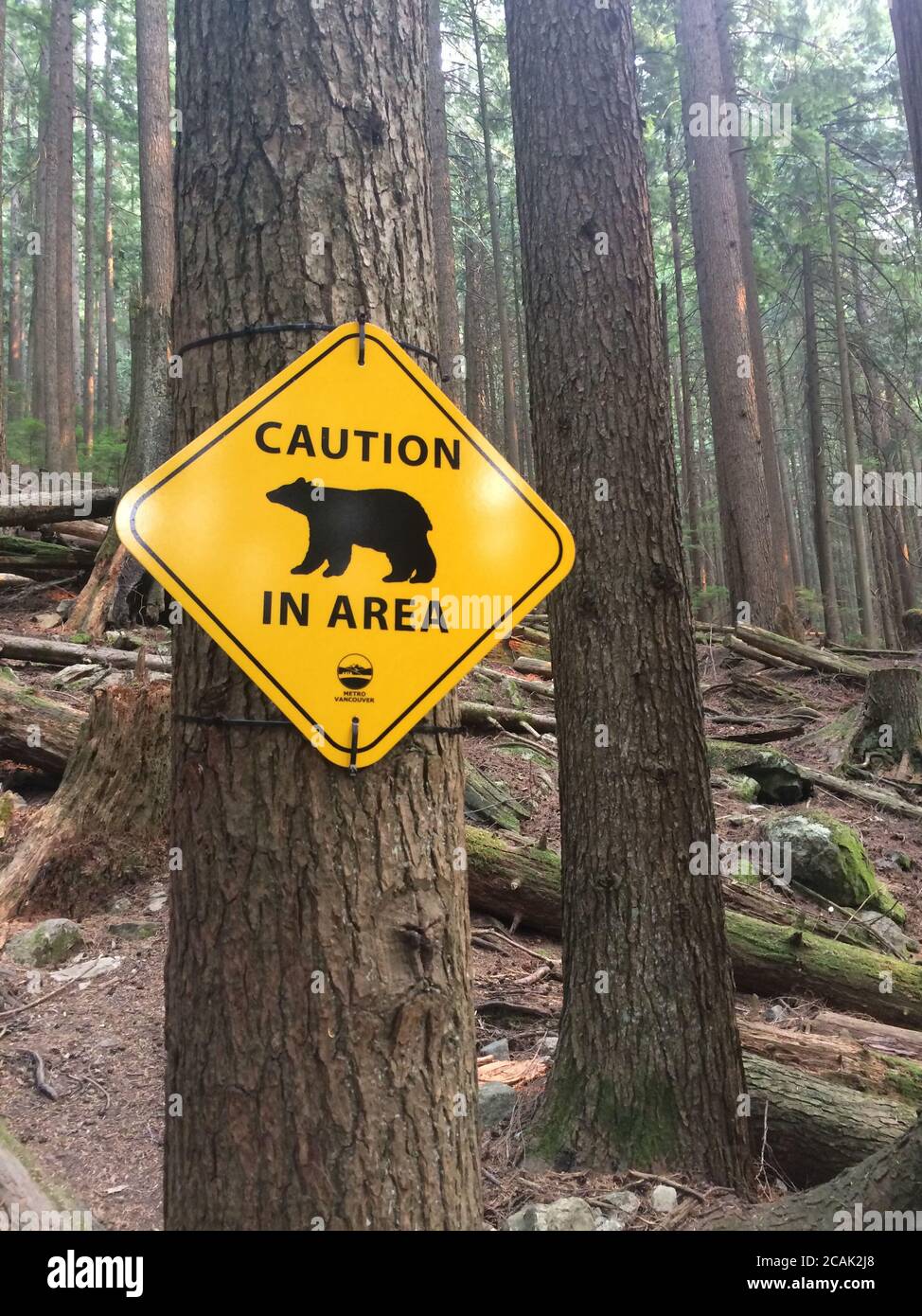 Bears in area sign at Grouse mountain hiking trail. North Vancouver, British Columbia / Canada. Stock Photo