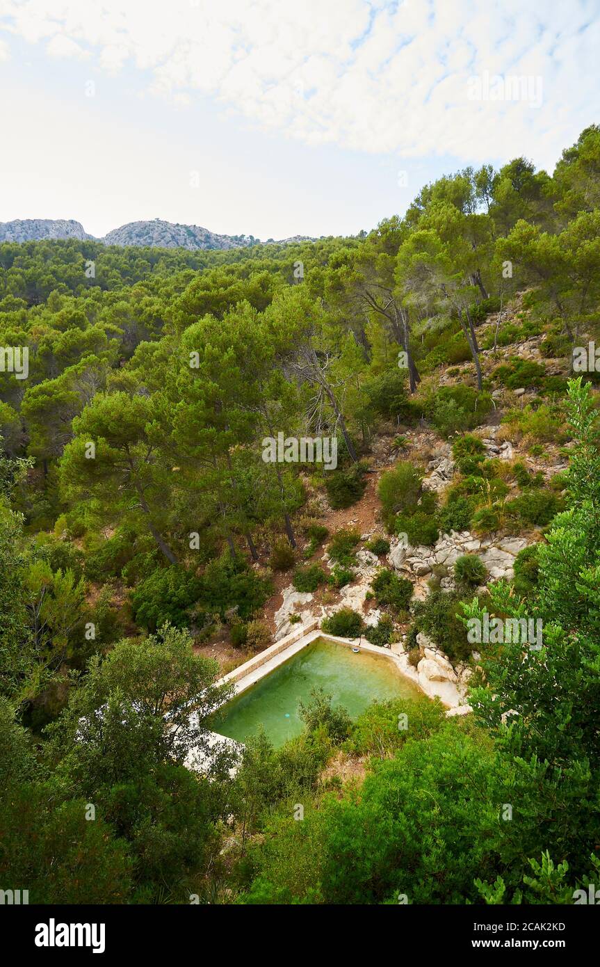 Natural water outdoor swimming pool within a pine forest at a property in Serra de Tramuntana mountains (Andratx, Majorca, Balearic Islands, Spain) Stock Photo