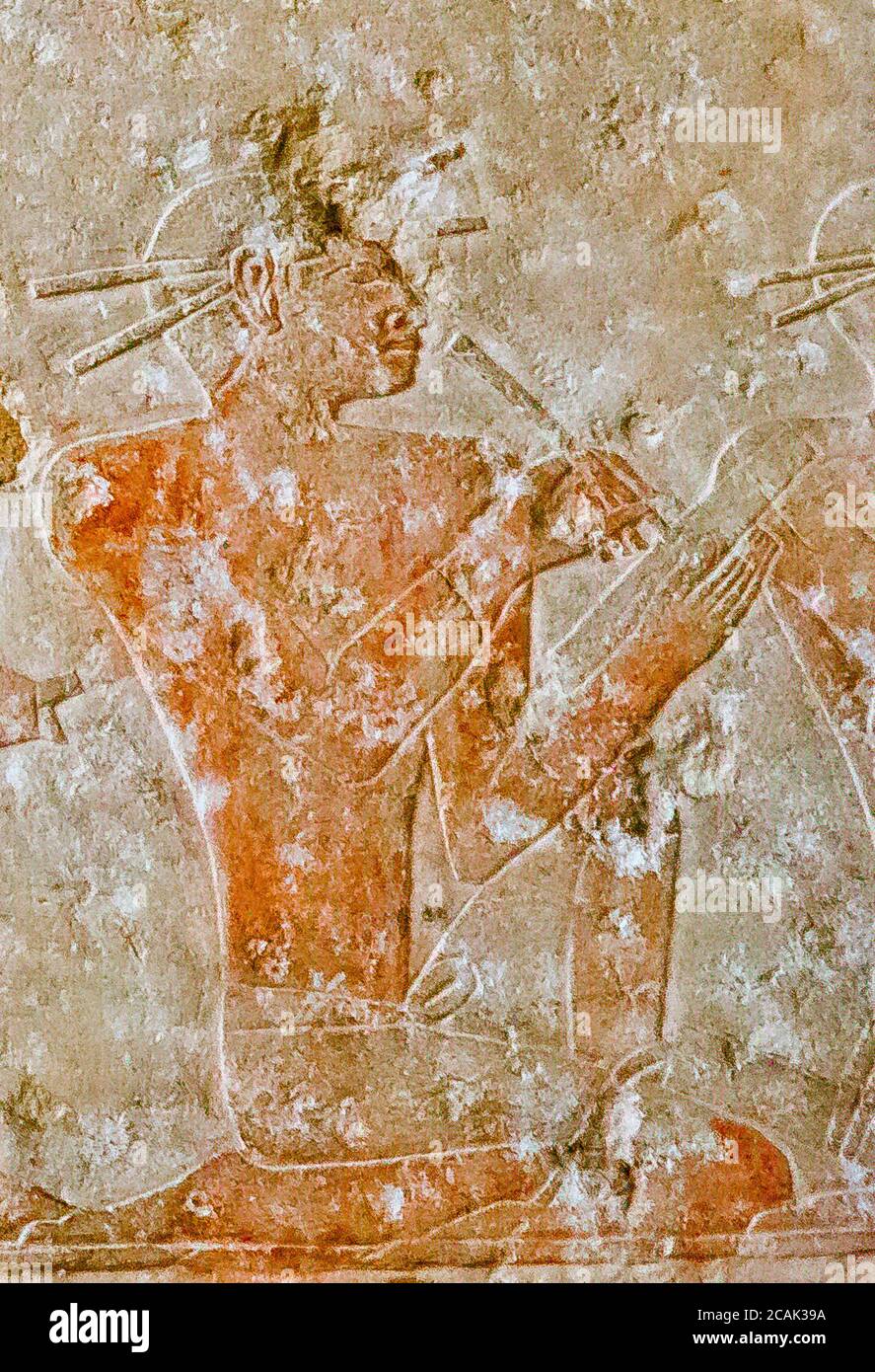 Egypt, Cairo, Egyptian Museum, from the tomb of Kaemrehu, Saqqara, detail of a big relief depicting agricultural scenes : A scribe. Stock Photo