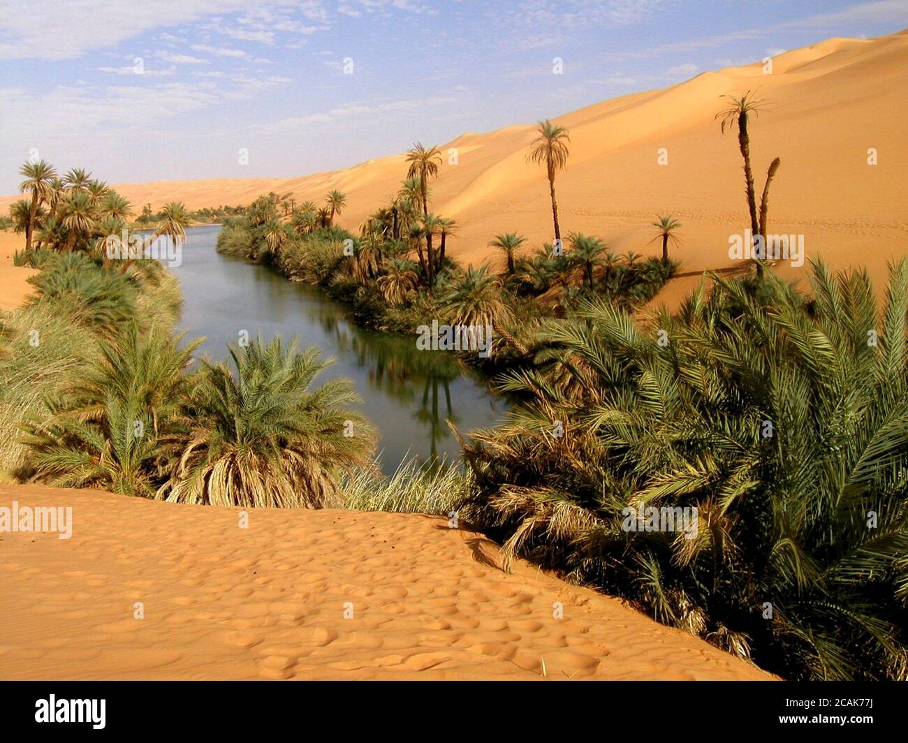 Sahara Desert Oasis Locations