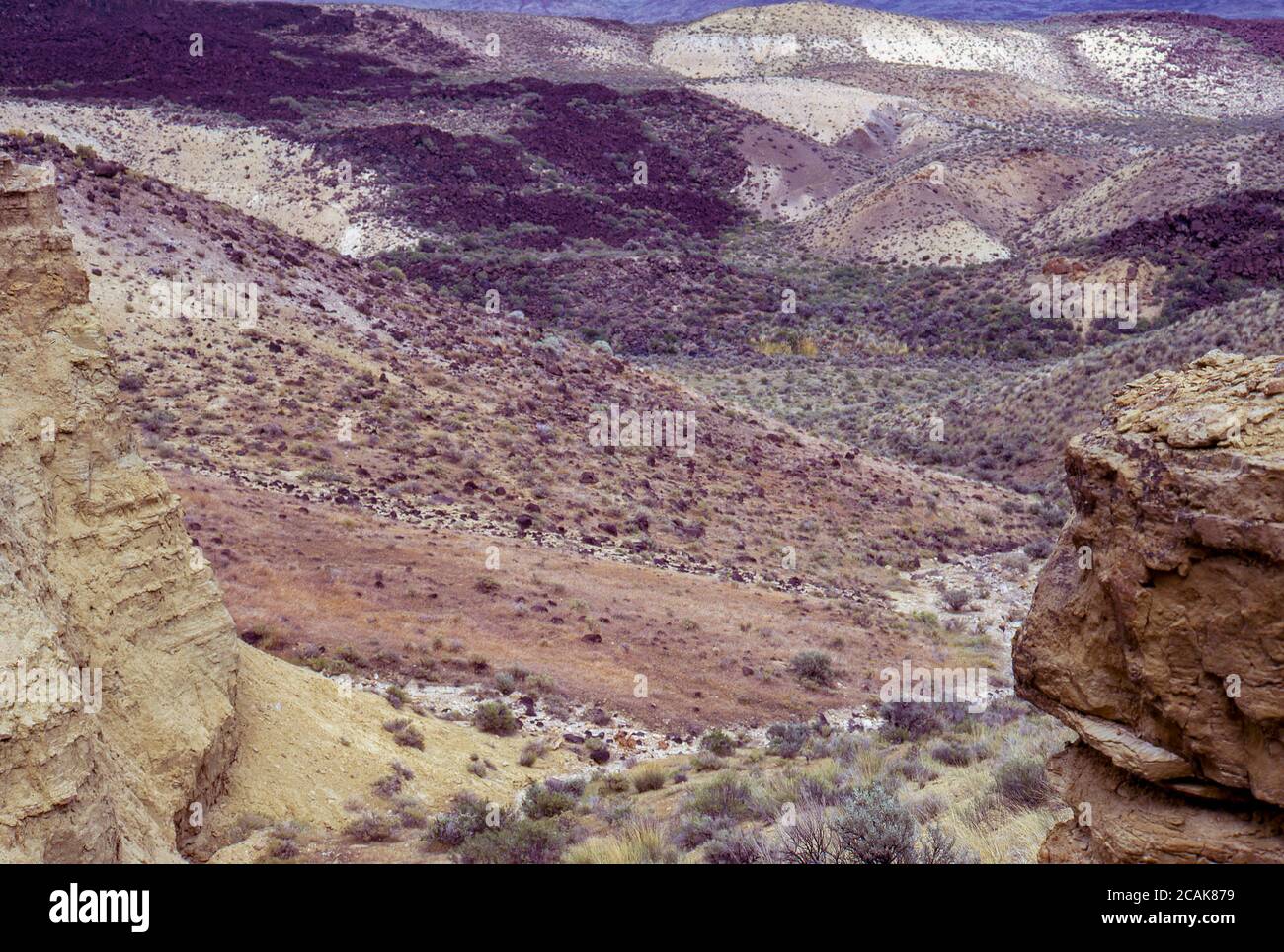 Owyhee River Canyon, SE Oregon, now a Wilderness Area and Wild and Scenic River designation. Volcanic plateau of basalt, rhyolite, tuff cliffs and canyons. Stock Photo