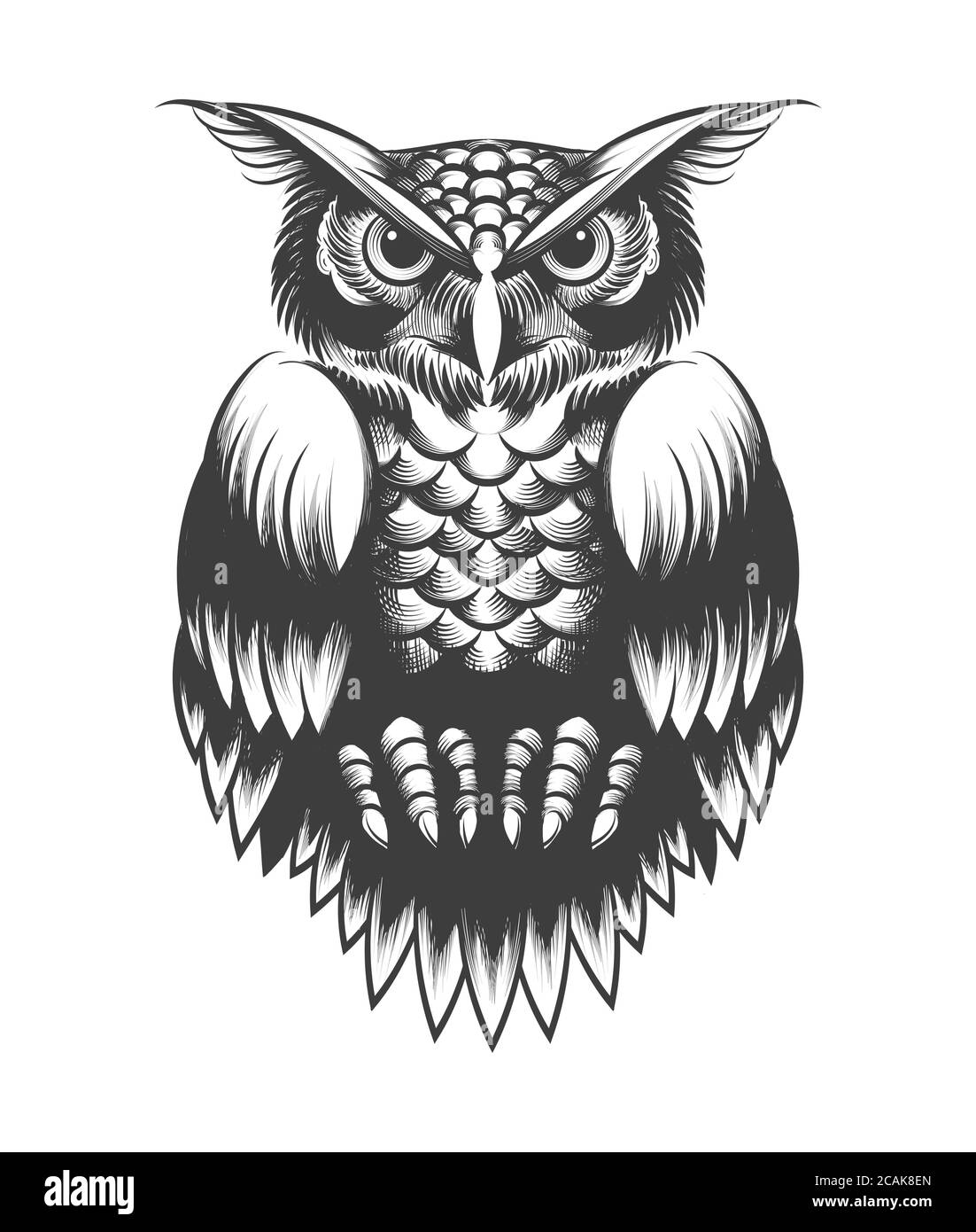 Owl tattoo Cut Out Stock Images & Pictures - Alamy Owl tattoo Cut Out Stock Images & Pictures - Alamy