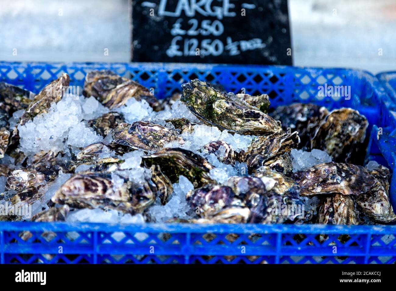 Fresh oysters at seaside oyster shack The in Whitstable, Kent, UK