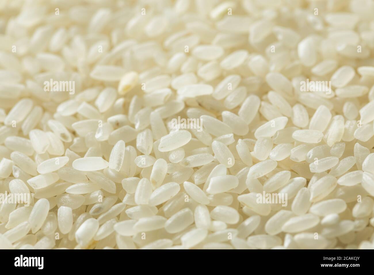 Raw Dry Organic Short Grain White Rice in a Bowl Stock Photo Alamy