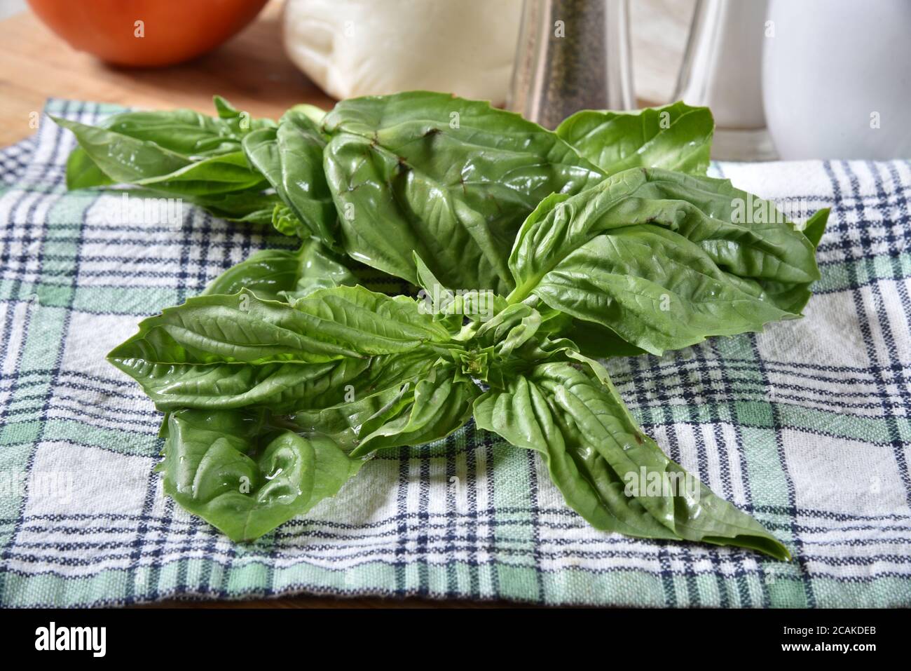 Fresh basil leaves drying on a towel Stock Photo Alamy