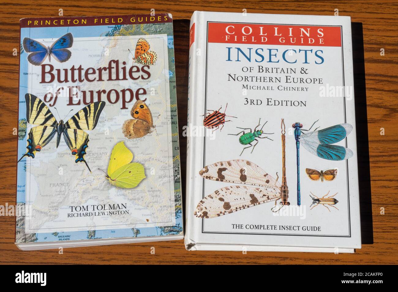 Butterfly id guide hires stock photography and images Alamy