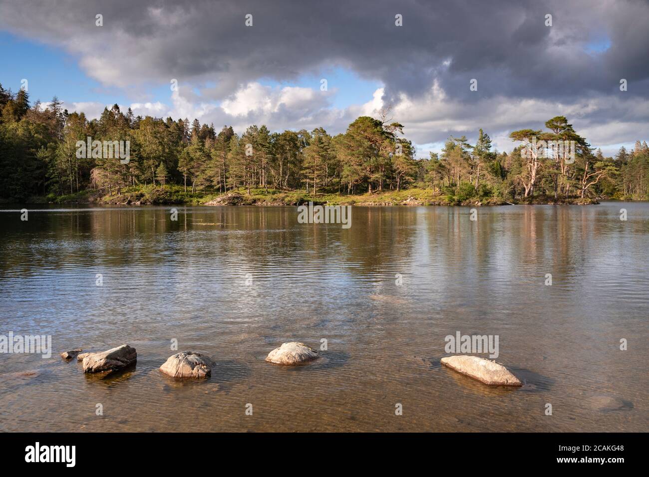 Tarn Hows lake in the Lake District, England Stock Photo