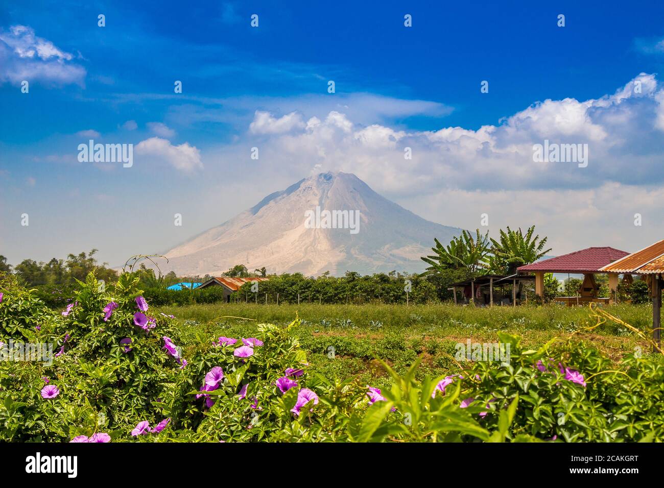 A view of Mount Sinabung over agricultural land, near Lake Toba in North Sumatra, Indonesia Stock Photo
