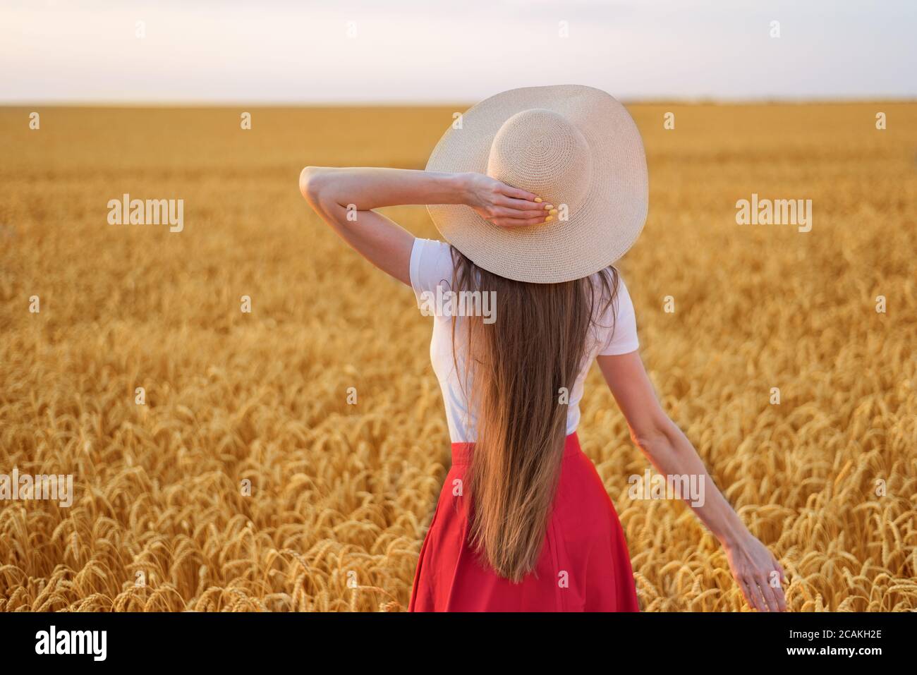 Rear view of young beautiful woman with long hair on background of ...
