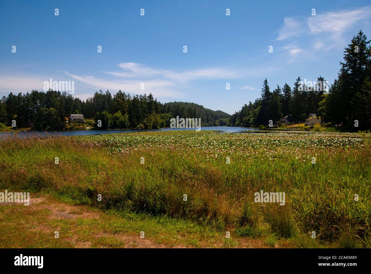 Magic Lake, North Pender Island, British Columbia, Canada Stock Photo