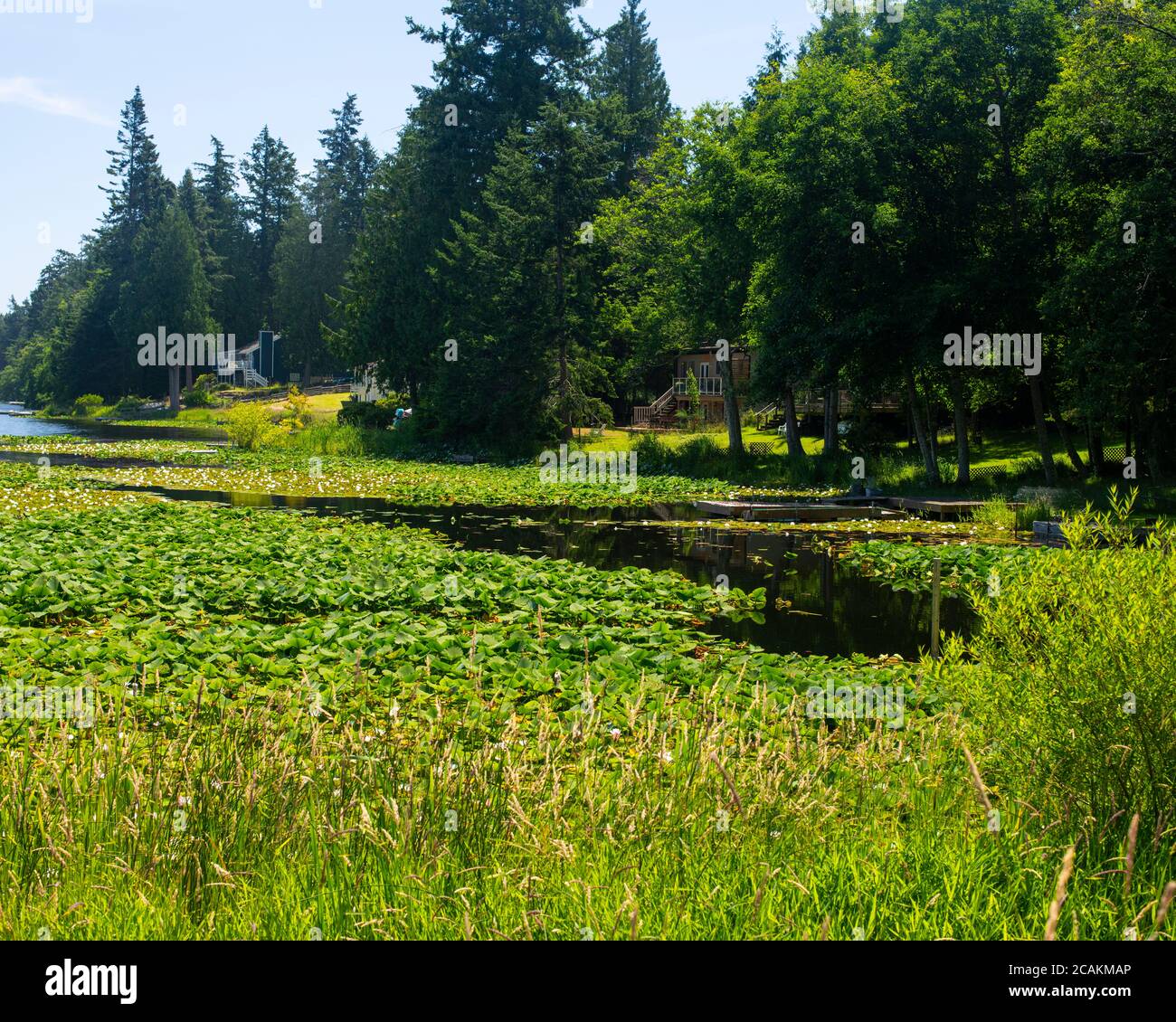 Magic Lake, North Pender Island, British Columbia, Canada Stock Photo