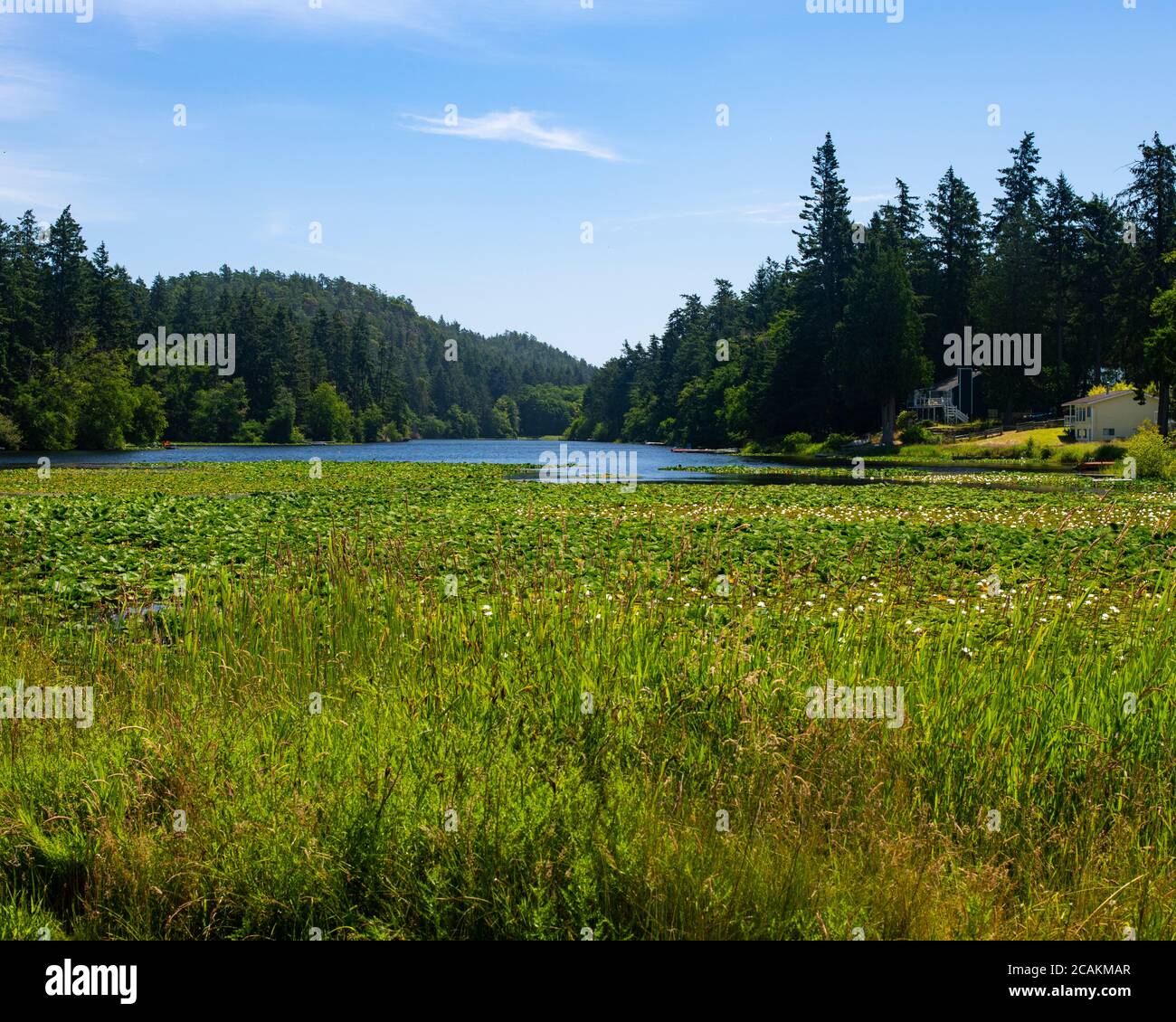 Magic Lake, North Pender Island, British Columbia, Canada Stock Photo
