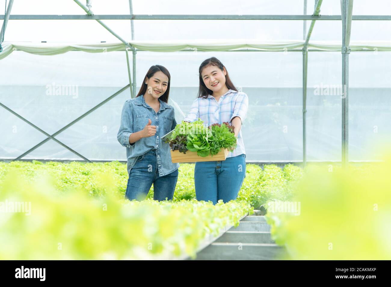 Happy Asian woman farmer holding a vegetable basket and tablet and ...