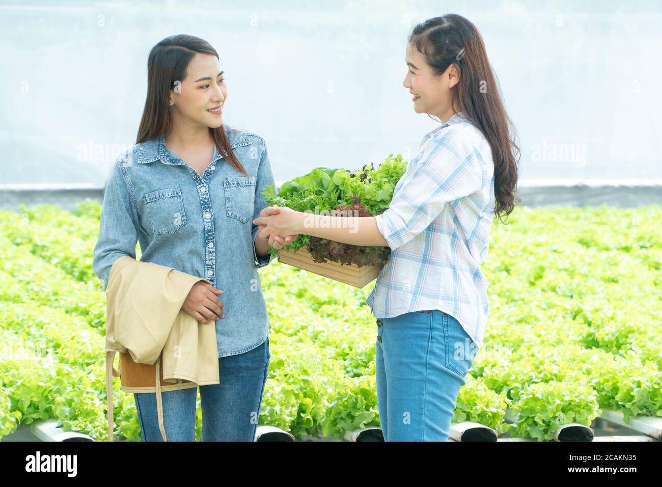 Asian woman farmer holding a vegetable basket and shake hands with partners after the agreement succeed. Concept of high quantity control and Quality Stock Photo