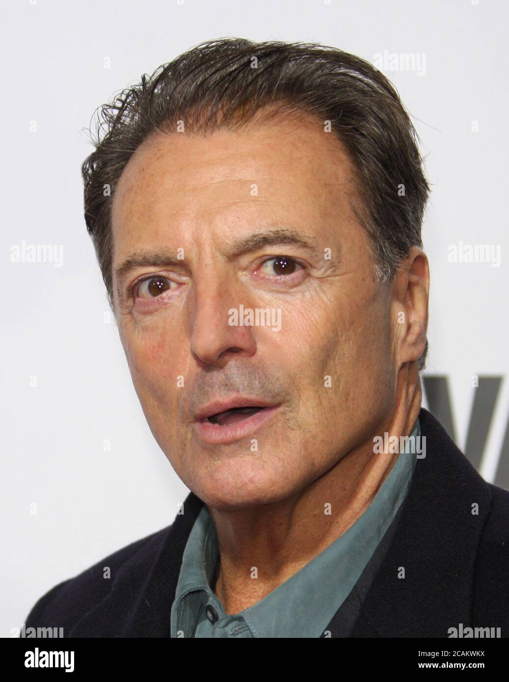 Armand Assante, 2008, Photo By John Barrett/PHOTOlink Stock Photo