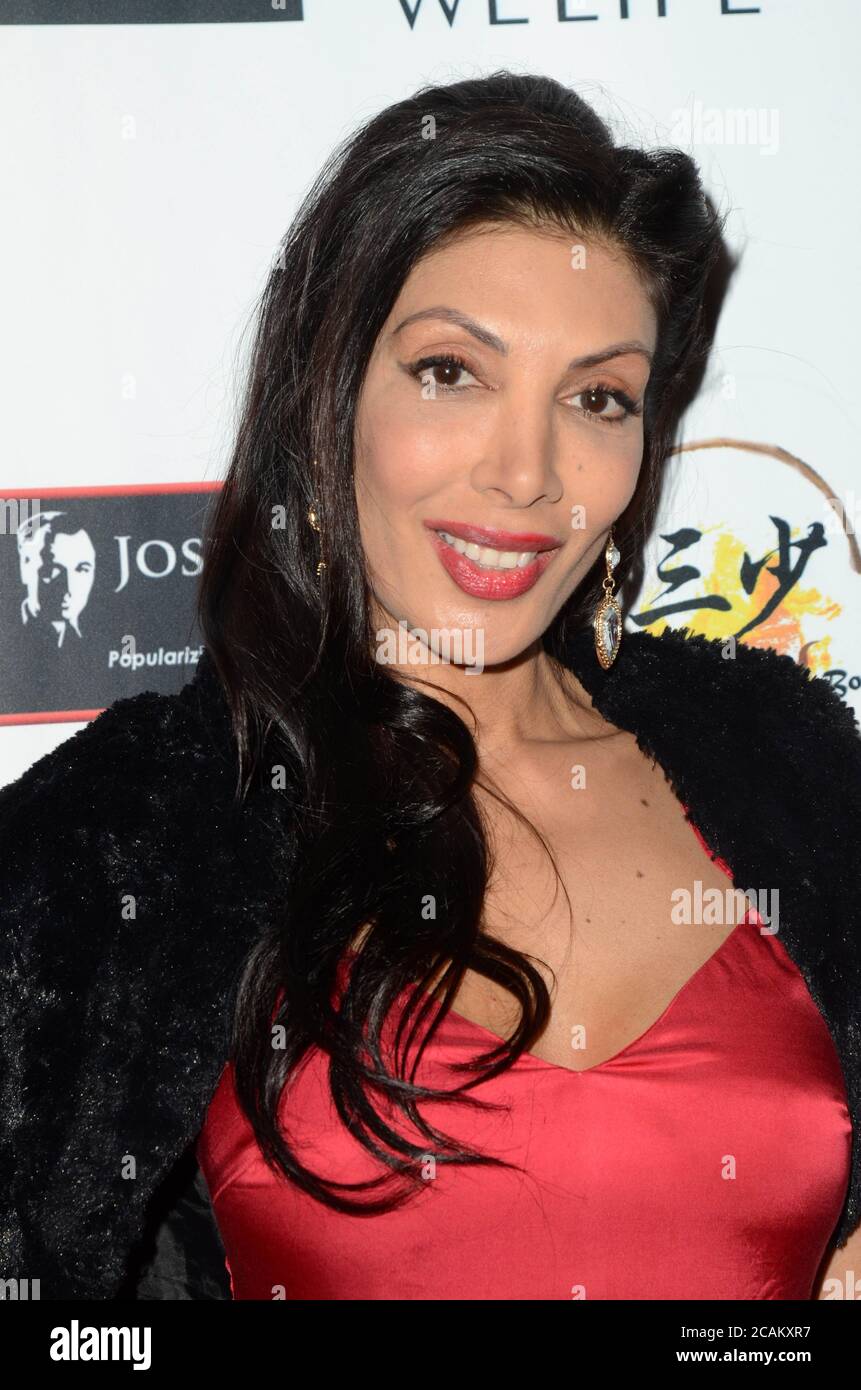 LOS ANGELES - FEB 9:  Jasmine St. Claire at the 5th Annual Roger Neal & Maryanne Lai Oscar Viewing Dinner at the Hollywood Museum on February 9, 2020 in Los Angeles, CA Stock Photo