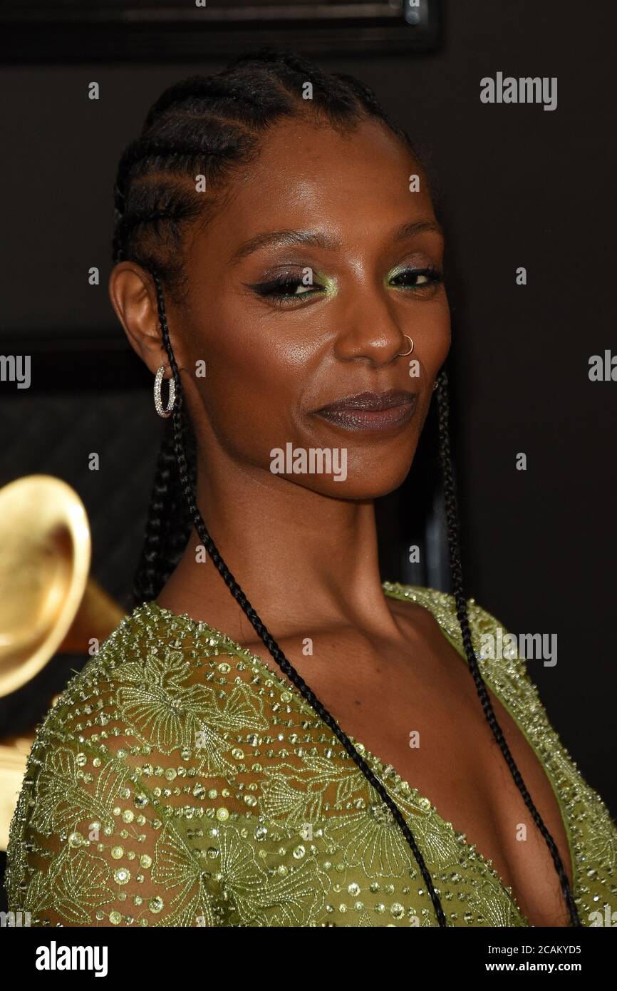 LOS ANGELES JAN 26 Mereba at the 62nd Grammy Awards at the Staples