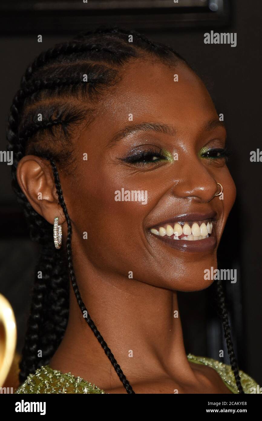 LOS ANGELES - JAN 26: Mereba at the 62nd Grammy Awards at the Staples ...