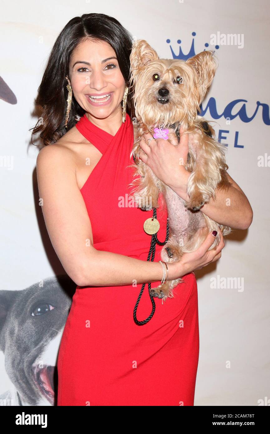 LOS ANGELES - JAN 13:  Larissa Wohl at the 2019 American Rescue Dog Show at the Fairplex on January 13, 2019 in Pomona, CA Stock Photo