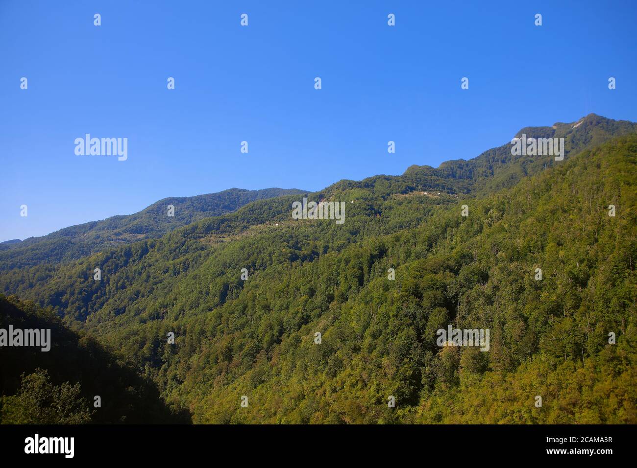 Mountainside covered dense forest hi-res stock photography and images ...