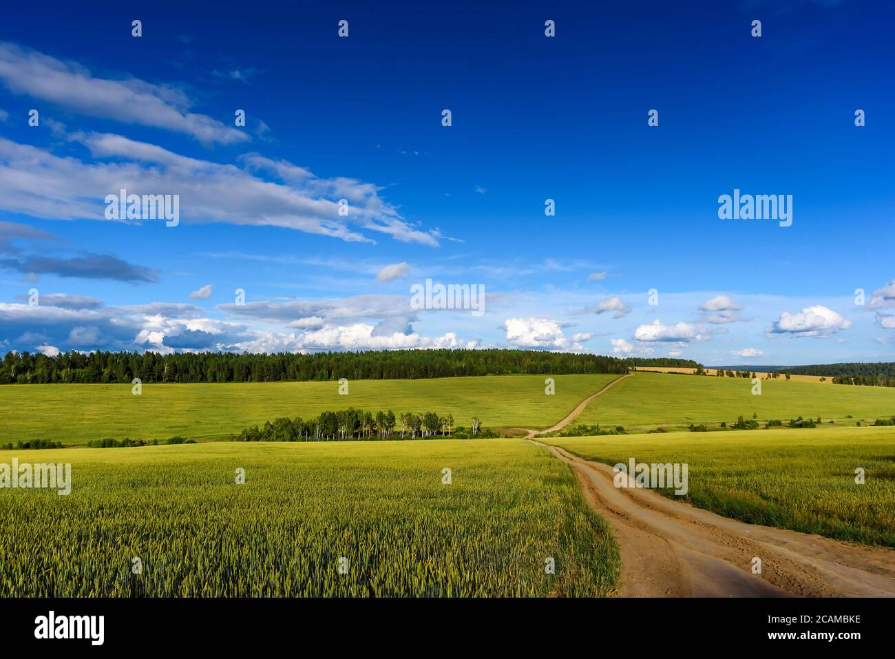 Summer Landscape with Wheat Field and Clouds Stock Photo - Alamy