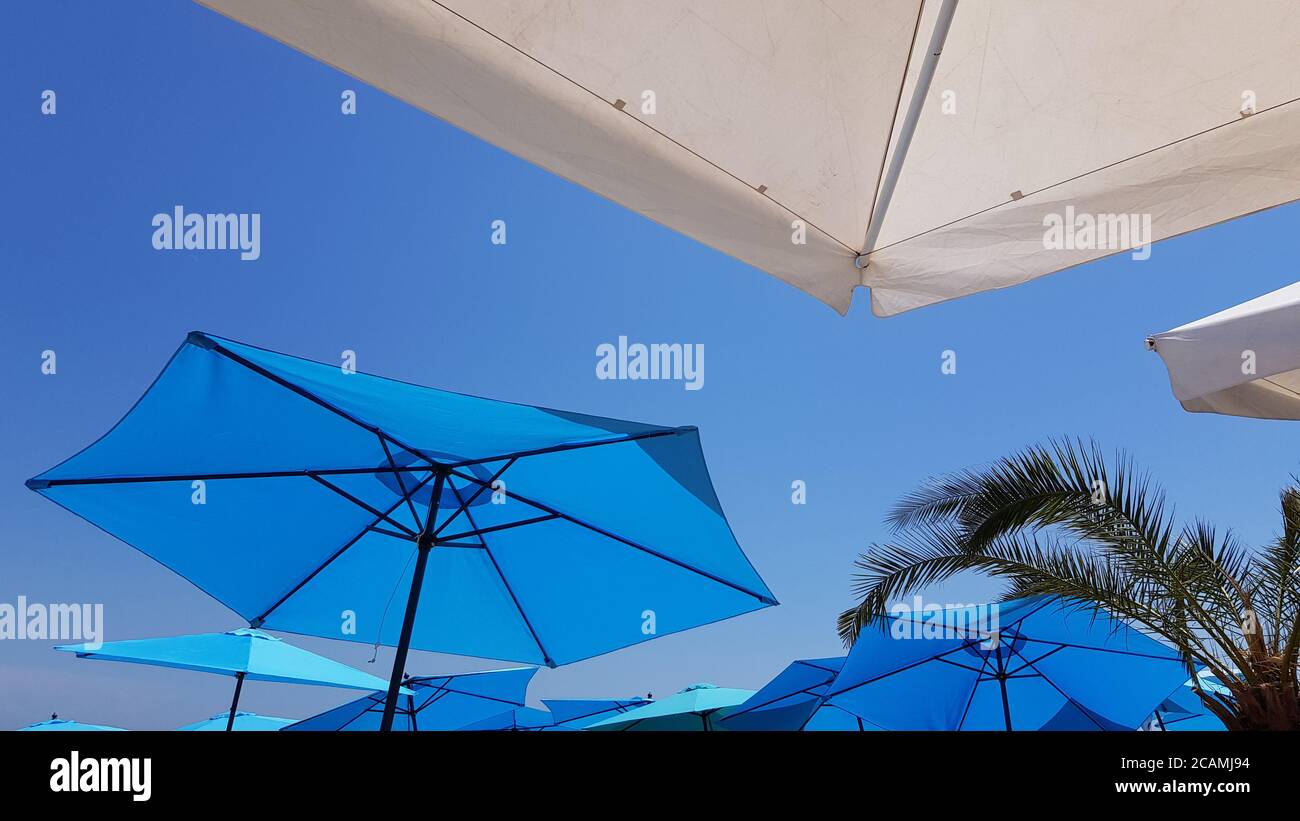 Bright blue beach umbrella with palm tree branches and sunshades on clear blue sky backdrop.  Vacation background with blue and white triangle shaped Stock Photo