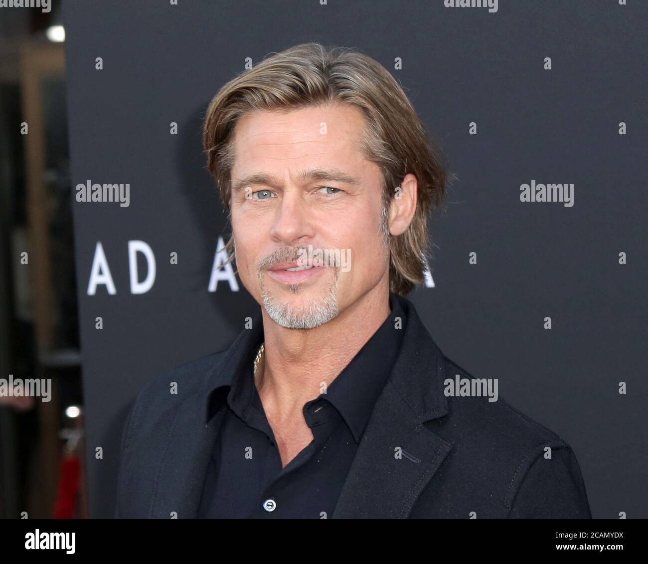 LOS ANGELES - SEP 18:  Brad Pitt at the 'Ad Astra' LA Premiere at the Arclight Hollywood on September 18, 2019 in Los Angeles, CA Stock Photo