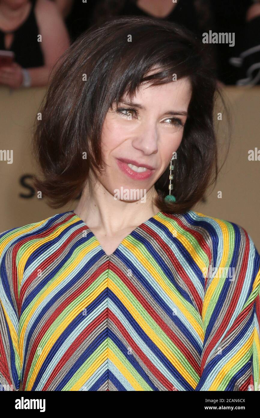 LOS ANGELES - JAN 21: Sally Hawkins at the 24th Screen Actors Guild ...