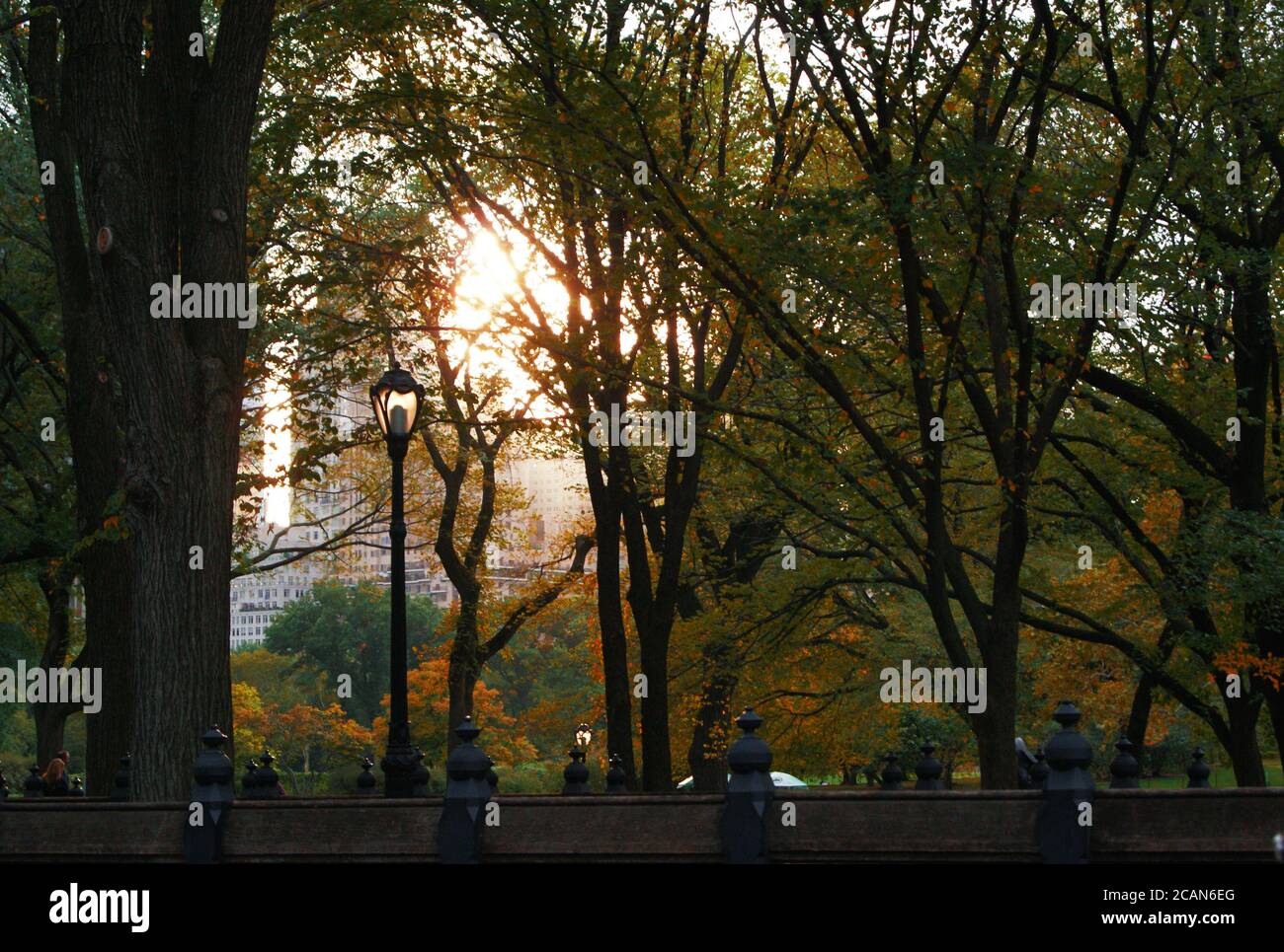 Central Park New York Stock Photo