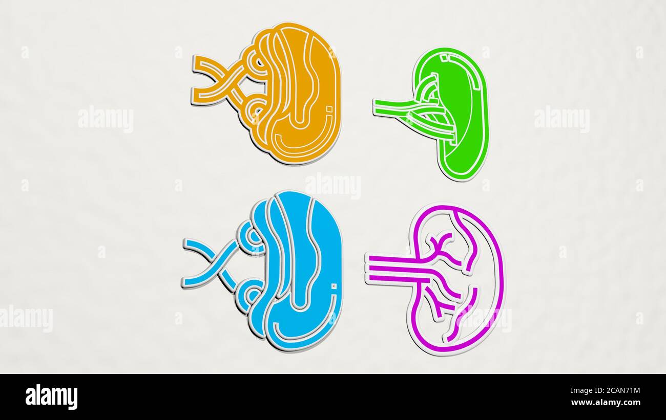 spleen colorful set of icons. 3D illustration. cartoon and biology Stock Photo