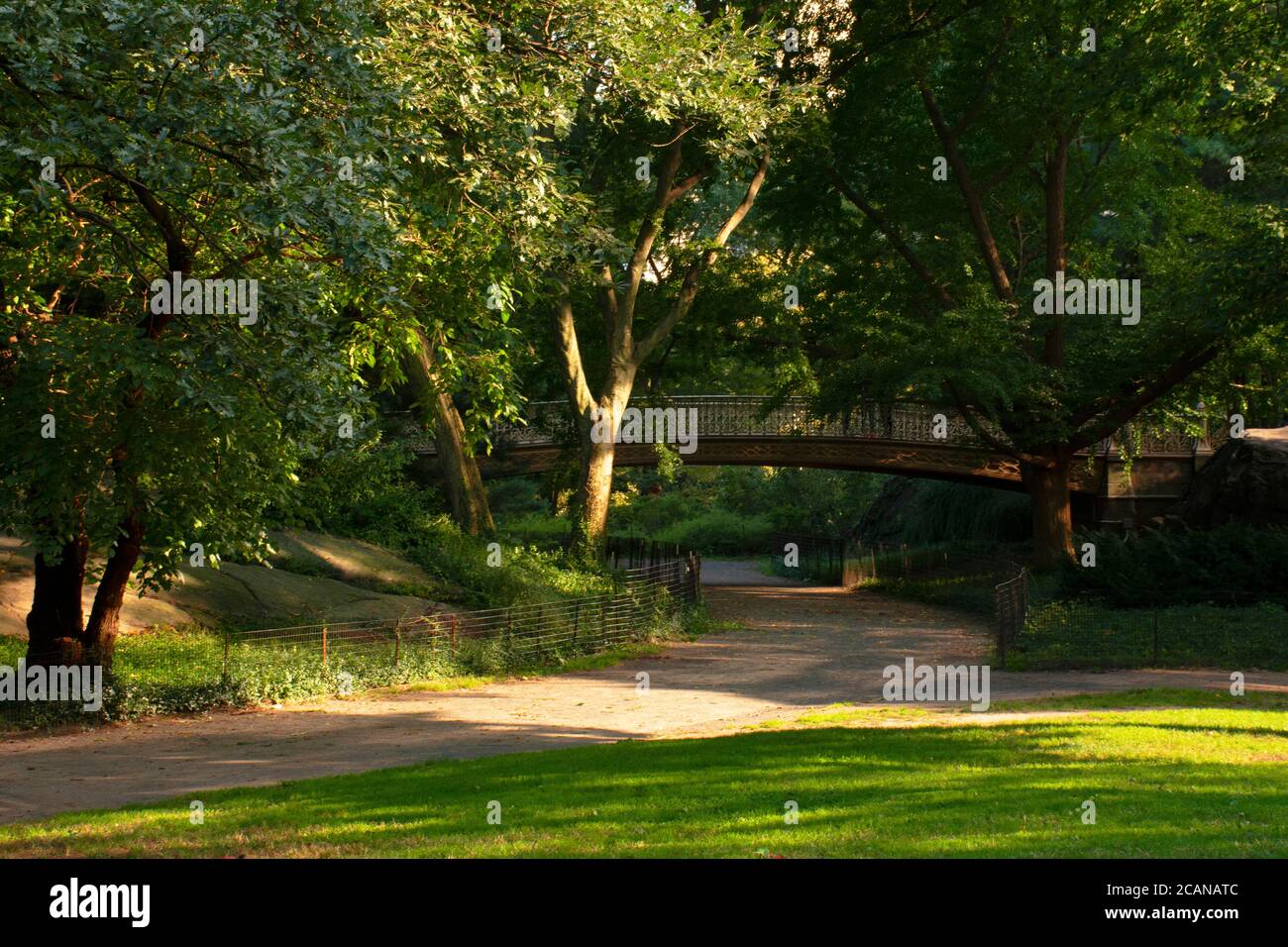 Central Park New York Stock Photo - Alamy