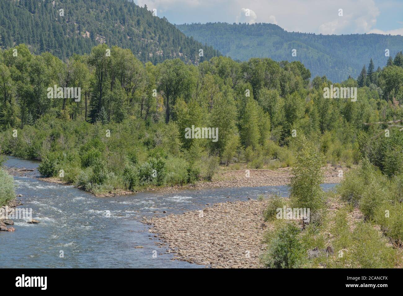 The Dolores River winding through the San Juan National Forest. Dolores