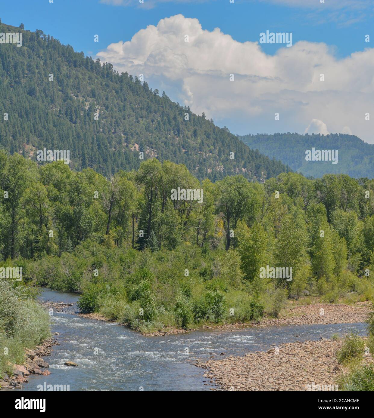 The Dolores River winding through the San Juan National Forest. Dolores