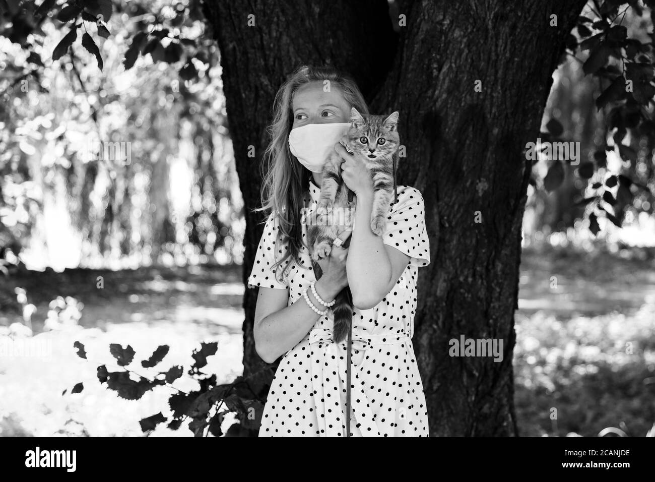 A young blonde woman in a protective medical mask holds a Scottish straight-eared kitten. A girl walks with a cat during the coronavirus kovid19 pandemic with security measures Stock Photo