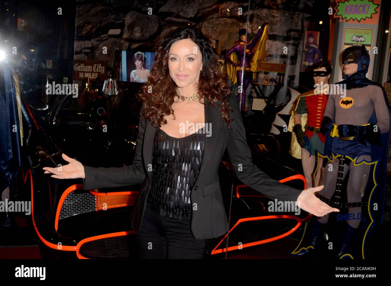 LOS ANGELES - JAN 10: Sofia Milos at the Batman '66 Retrospective and