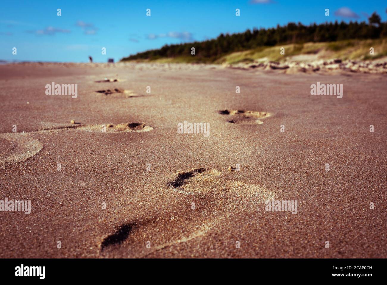 Human footprints disappearing in wet sand by the sea with blue skies above Stock Photo