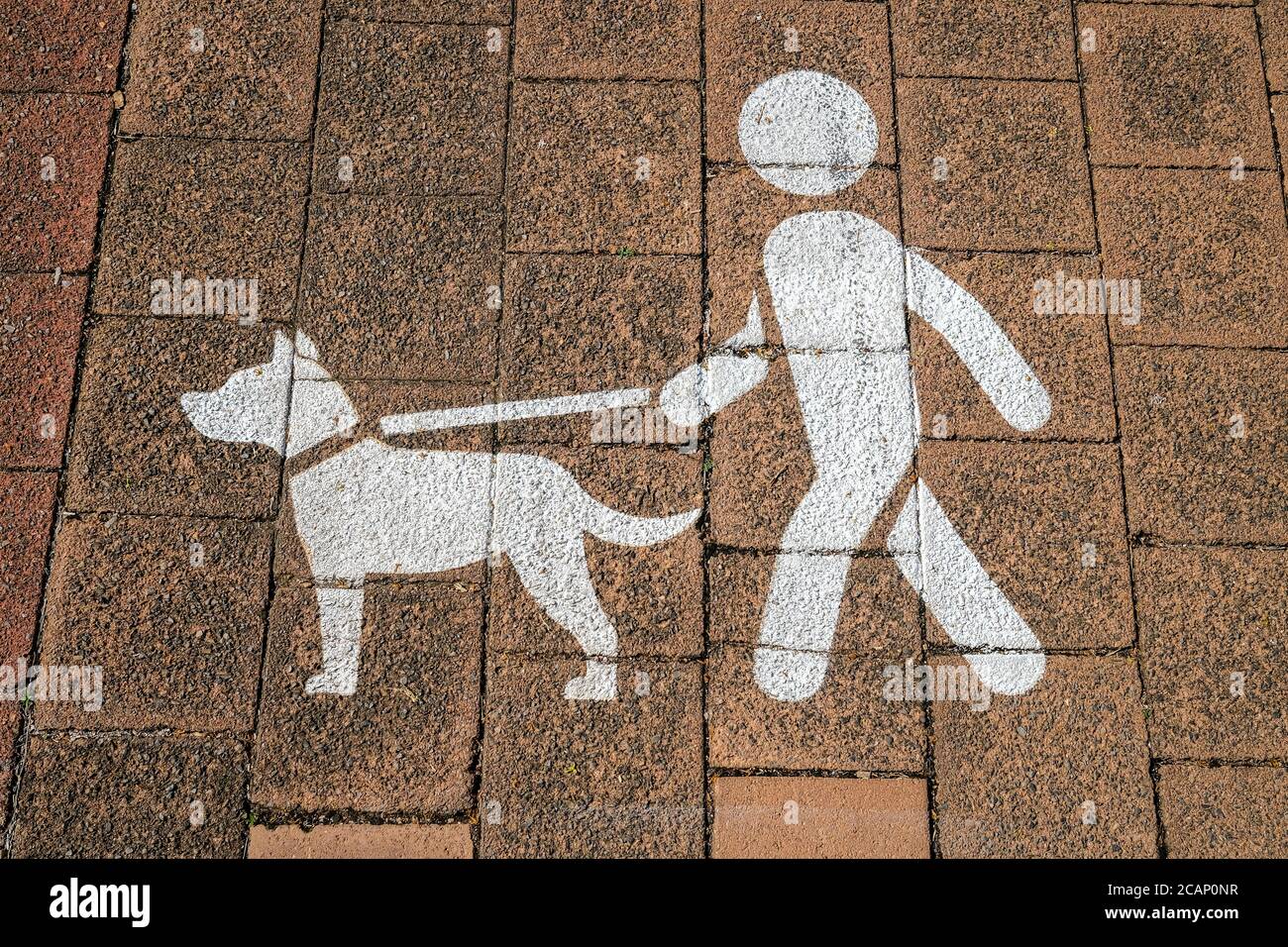 Sign asking dog owners to keep their dogs on a lead or leash, painted on the footpath. Stock Photo